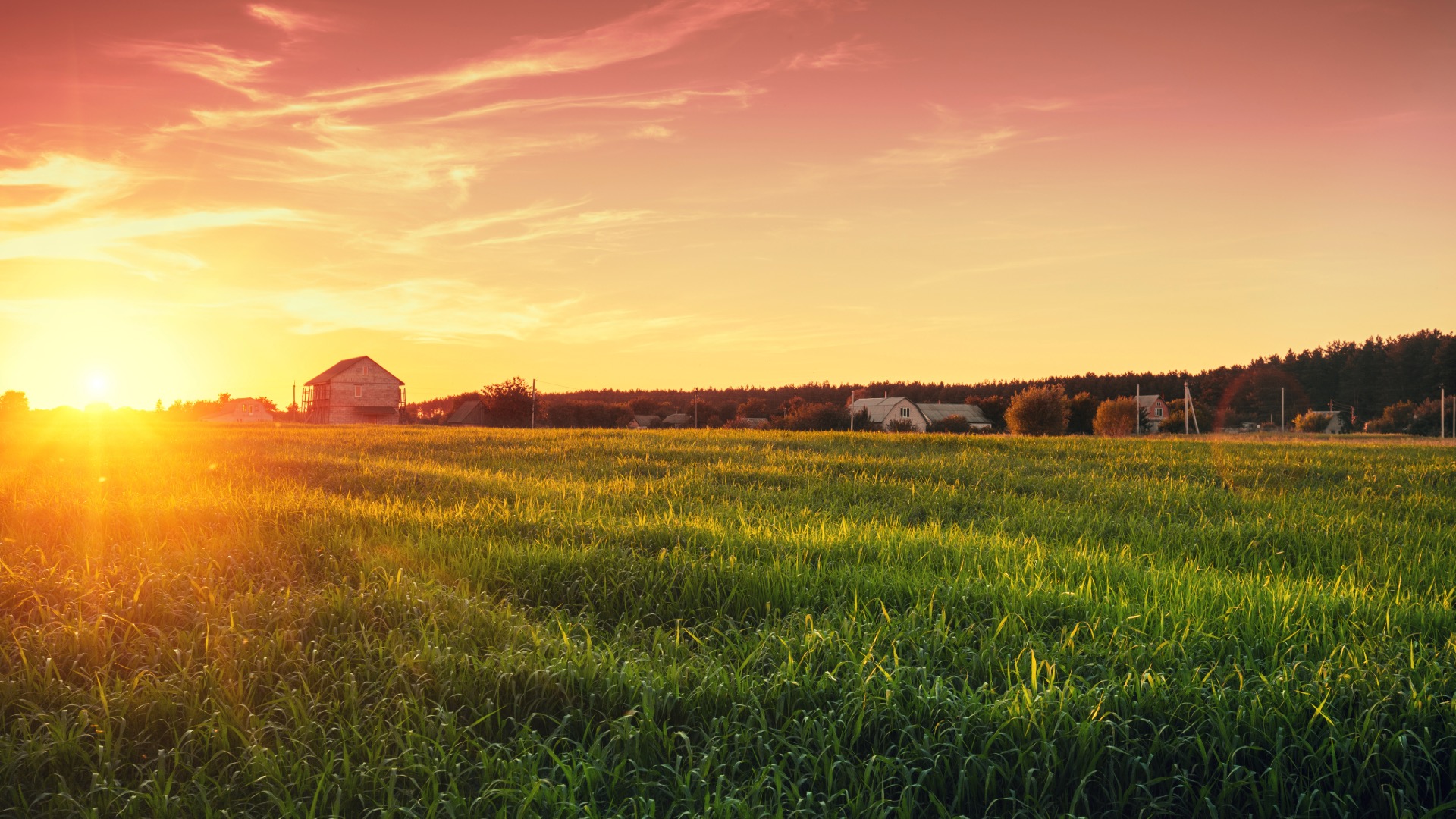 You are currently viewing From Home Gardens to Global Farms:  Sustainable Practices in Agriculture